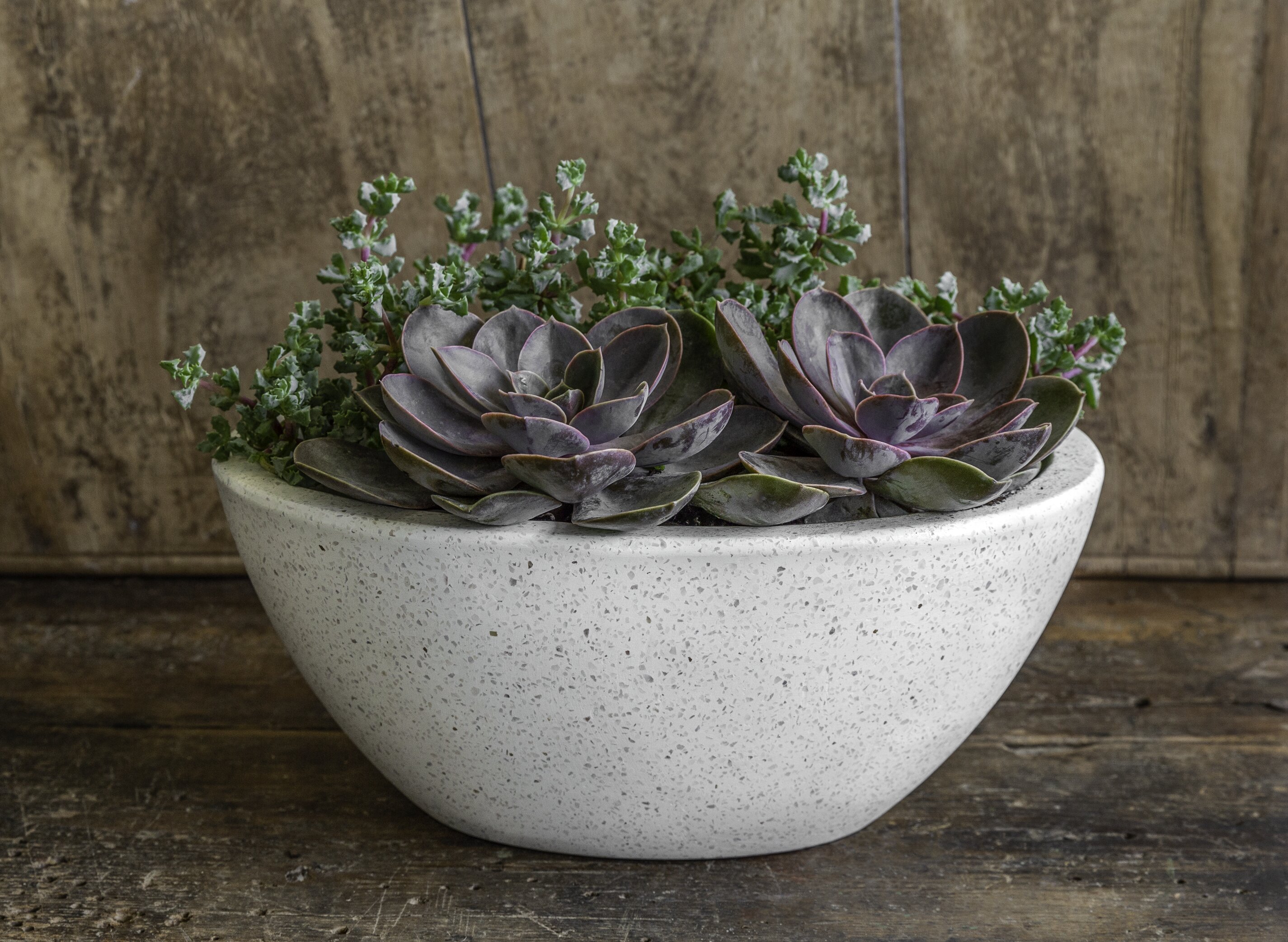 Campania International, Inc Geo Pot Planter | Wayfair