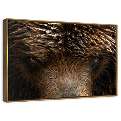 Yeux de grizzly