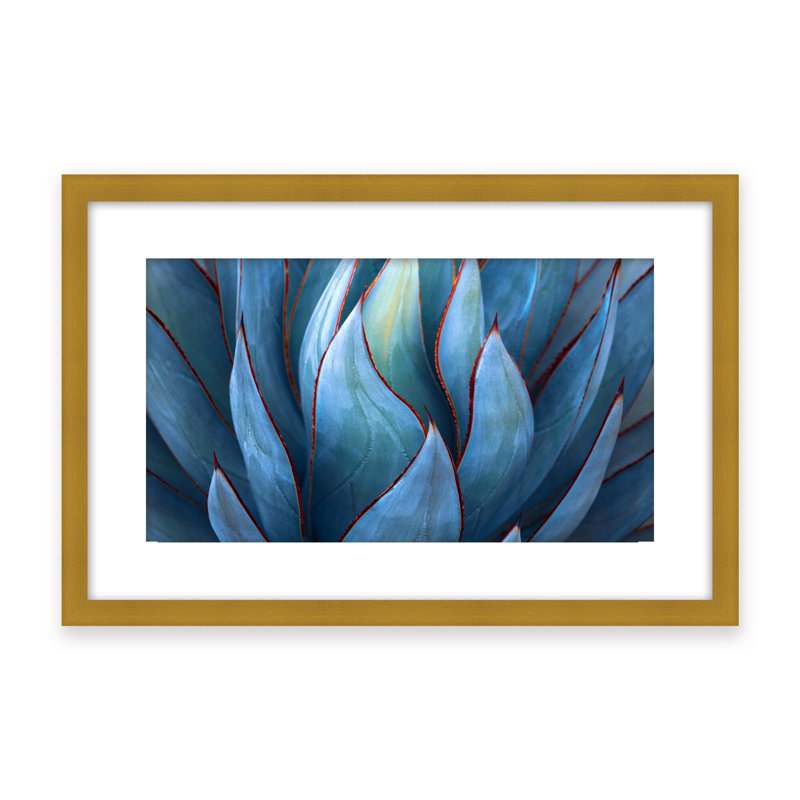 Nature Inspired Blue Agave Abstract by  - Picture Frame Graphic Art on Paper, 32" H x 48" W x 1.125" D, Black