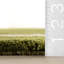 Orlina Bordered Rug-244316491