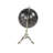 Tabletop Globe-33390857