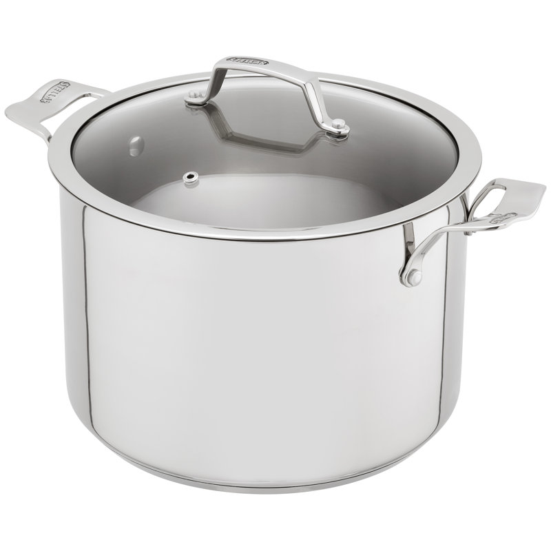 Stellar 18/10 Stainless Steel 26cm Stockpot with Glass Lid