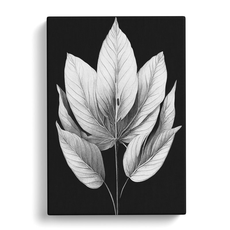 A Monochrome Leaves No.1 - Wrapped Canvas, 50cm H x 35cm W x 3cm D