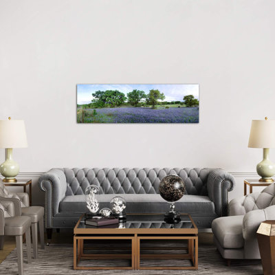 Field of Bluebonnets, Hill County, Texas, USA 1 Piece Panoramic Wall Art on Canvas