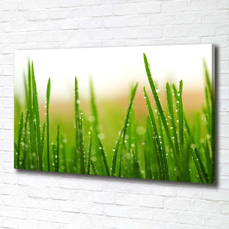 Grass - No Frame Print on Canvas