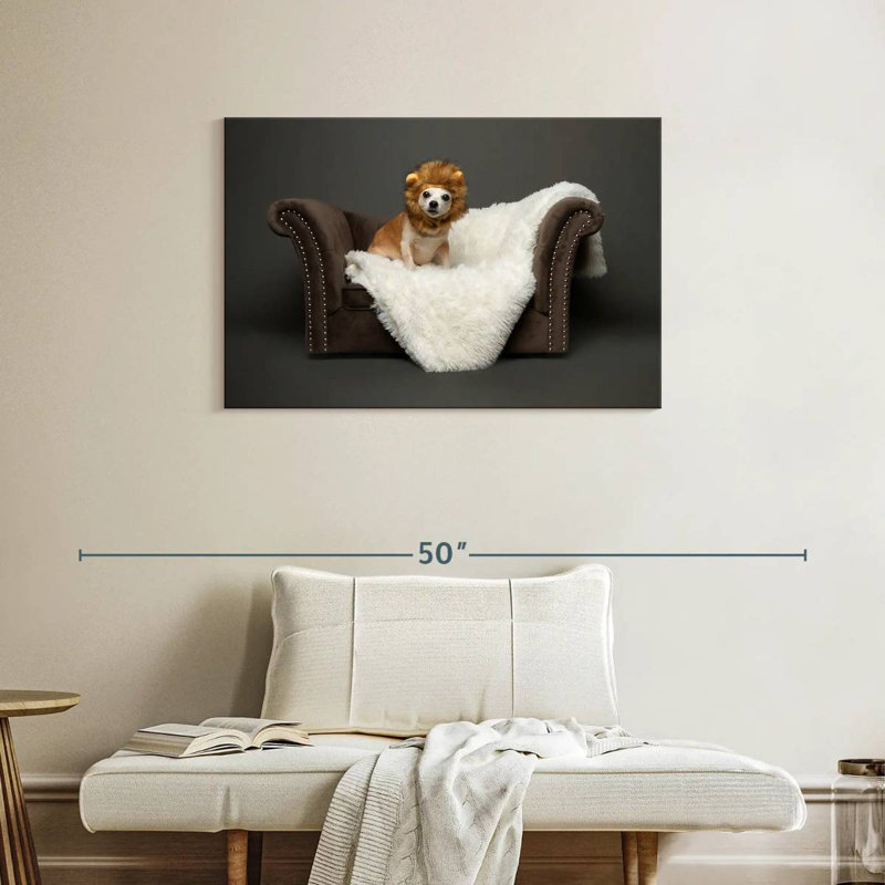 Ketti Funny Chihuahua Lion