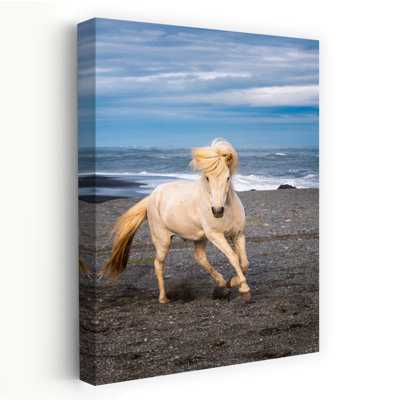 Art sauvage, paysage sauvage
