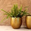 Perrone Handmade Metal Pot Planter-1199278444-1199278442