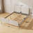 Jozetta 63.3" Queen Beds Upholstered Platform Bed with Storage-1822789838