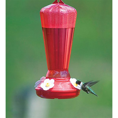 Hanging Hummingbird Feeder