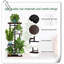 Support pour plante Pacorro-1847509554