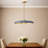 Hinkley Sadie 24" Large Saucer Shaped Chandelier-128259125