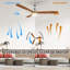Amontay 52'' Ceiling Fan with LED Lights