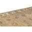 Oriental Area Rug