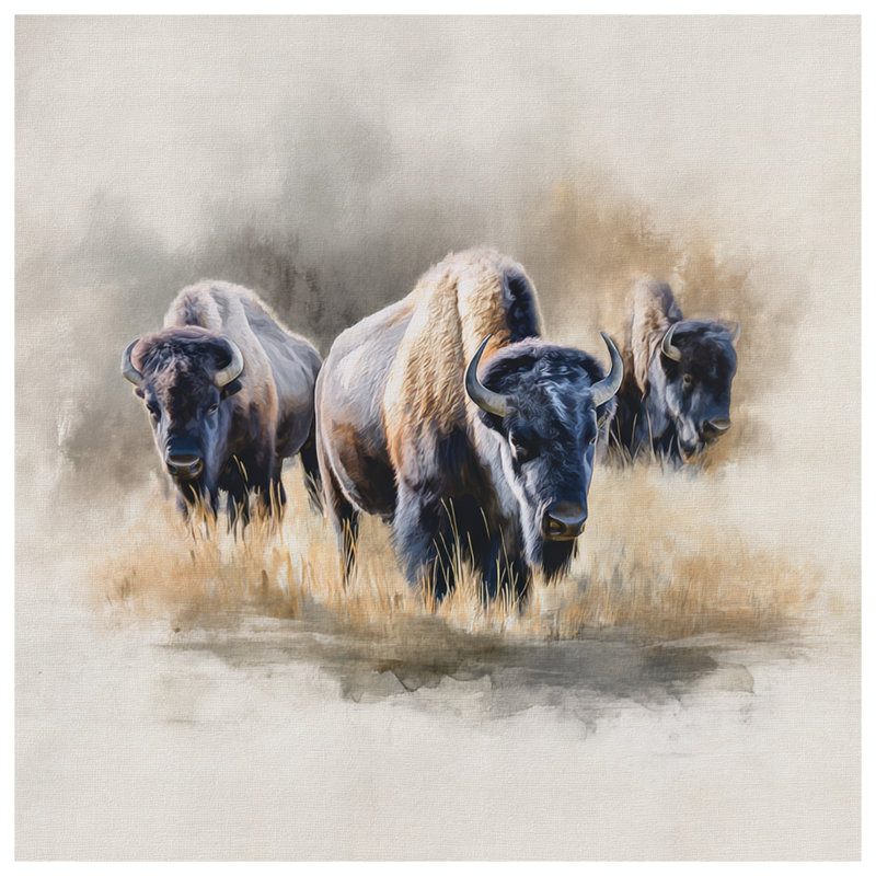 Rideaux de douche Bison In Grassland, L 70 po x H 84 po