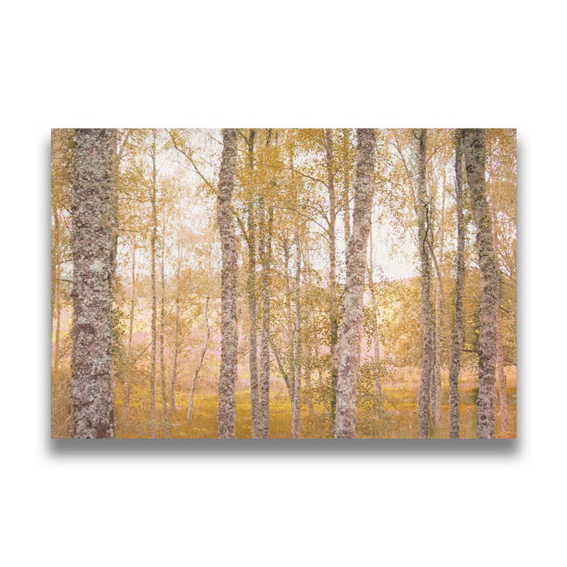 «Trees devant Highlands» par Hal Halli. Impression sur papier - Montée et encadrée, H 34 po x l 49 po