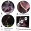 Lambrusco Lustre - ensemble d'art sur toile vin-107740687