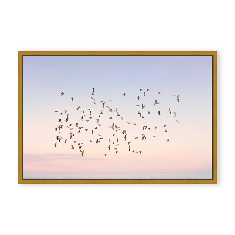Nature Inspired Sunset Flight by  - Picture Frame Photograph on Paper, 16" H x 24" W x 1.125" D, Framed Matted Print, Gold