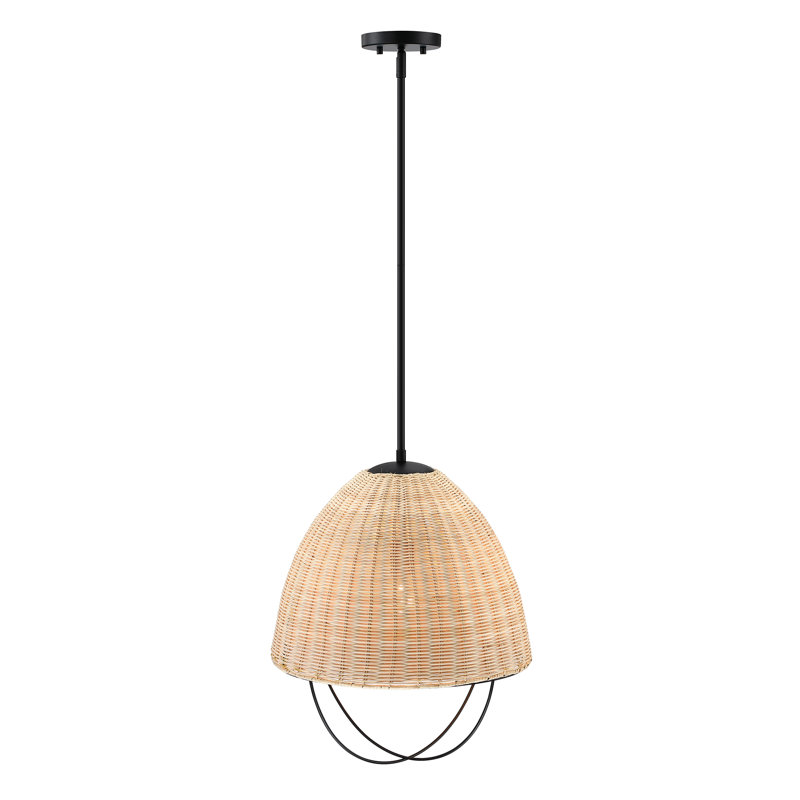 Luminaire suspendu noir mat à 1 lumière Orenda