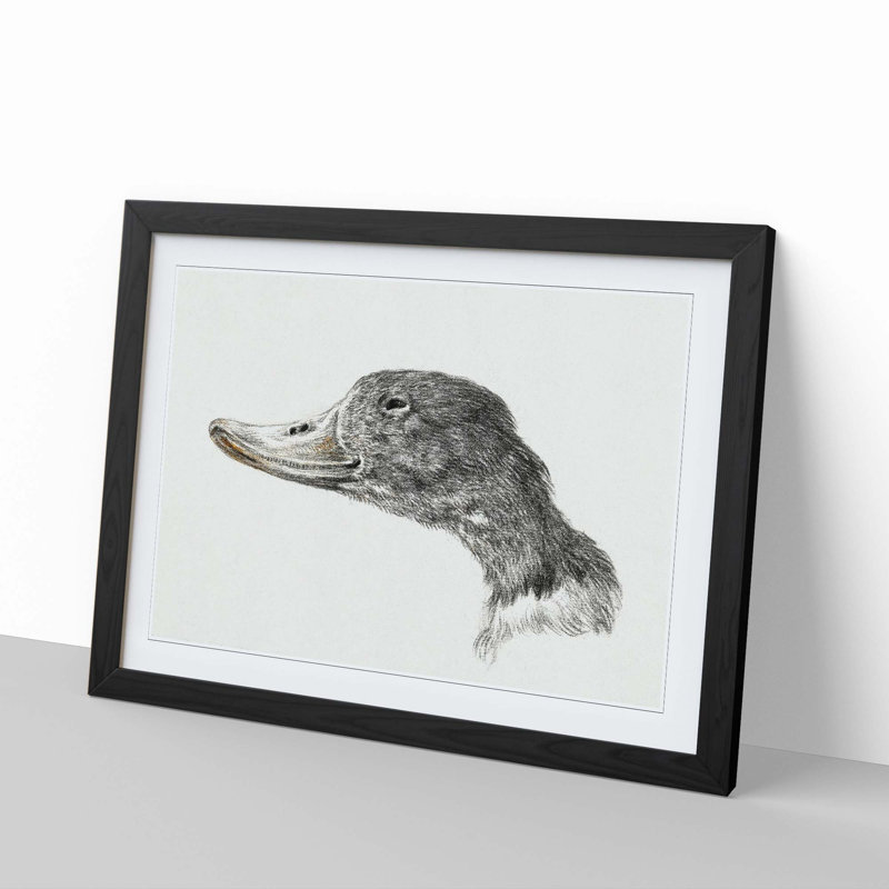 Head of a Duck by Jean Bernard - Framed Print, Black Framed, 36cm H x 48cm W x 2cm D
