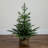 White 3' Pre-Lit Pine Christmas Tree