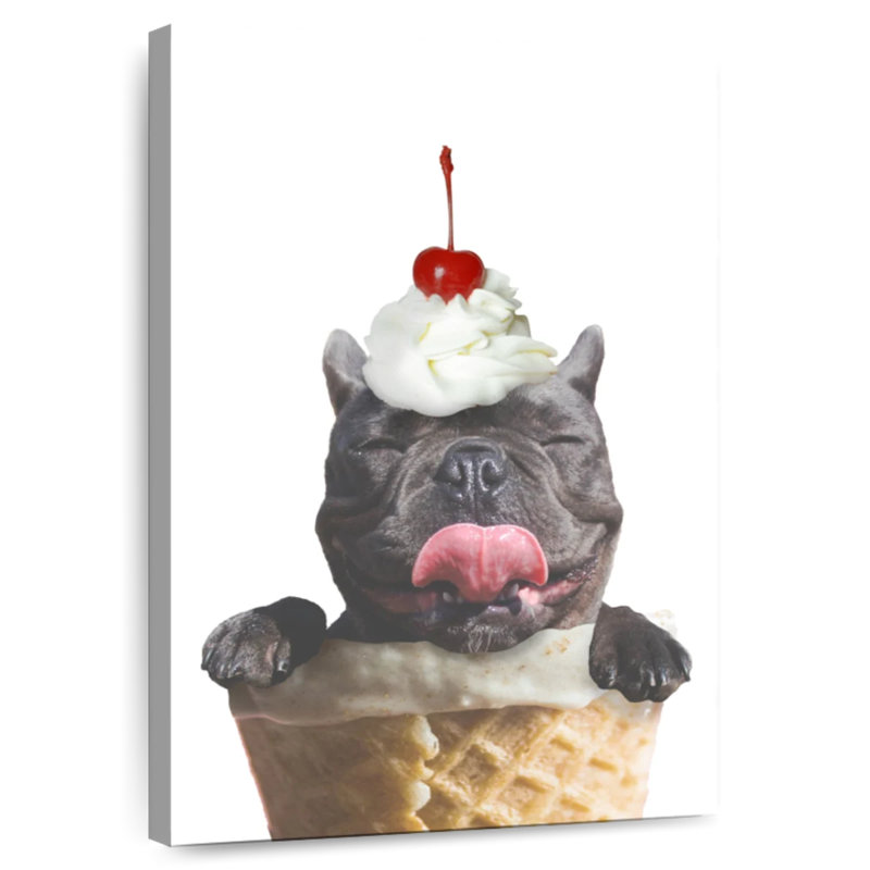 Brampt Ice Cream Dog, H 24 po x l 16 po