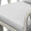 Dealie Outdoor Dining Arm Chair With Pillow Back, White