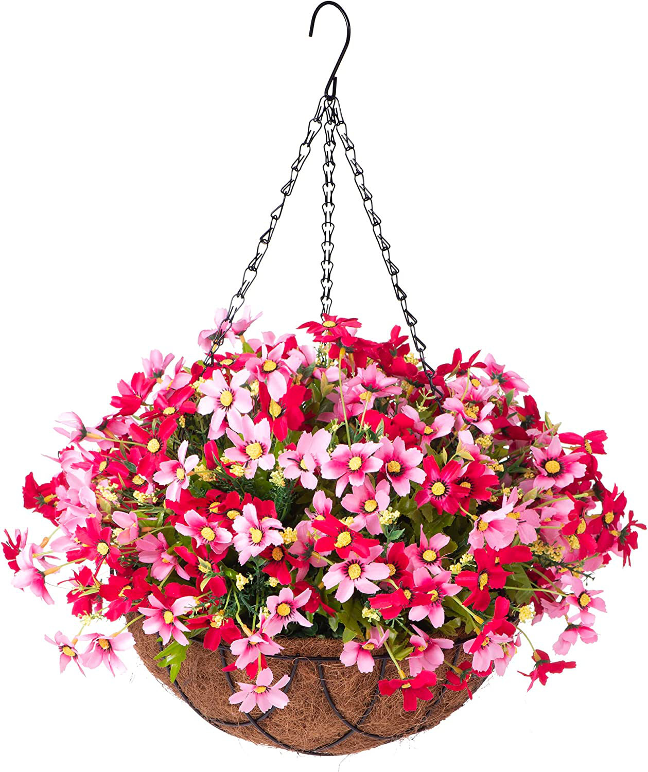 Primrue Machado Hanging in Basket | Wayfair