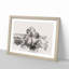 Two Elephants - Single Picture Frame Print on MDF-56882300-56882301