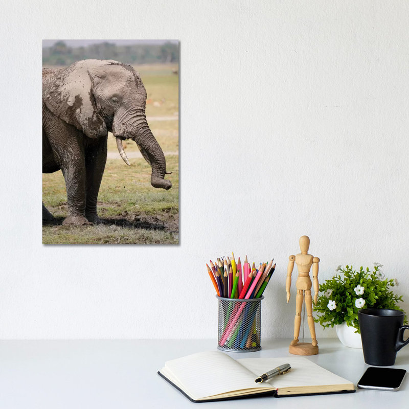 African Elephant Mud Bathing, Masai Mara, Kenya 1 Piece Wrapped Canvas Wall Art, 20.32 cm H x 30.48 cm W