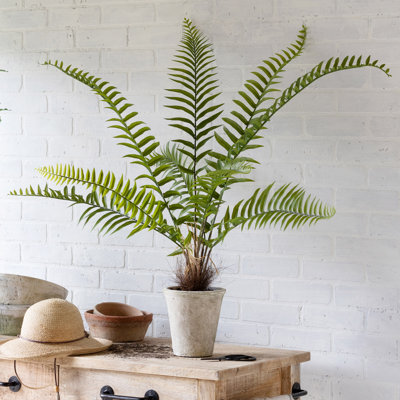 Faux Fern Plant