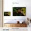 Jaguar Cozy Tree-107501247