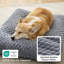 Pet Bed