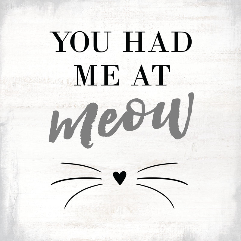 Had Me At Meow - Wrapped Canvas Print, 30cm H x 30cm W x 3.8cm D