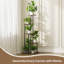 Ahlaan Plant Stand-715439053