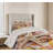 Seashells Coastal Coverlet