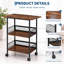 60cm W Iron Shelving Unit