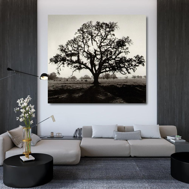 Oaktree, lever de soleil, H 36 po x l 40 po