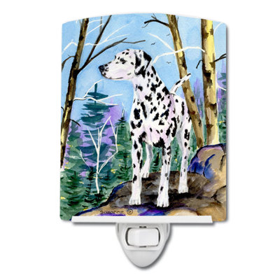 Éclairage de nuit en céramique dalmatien