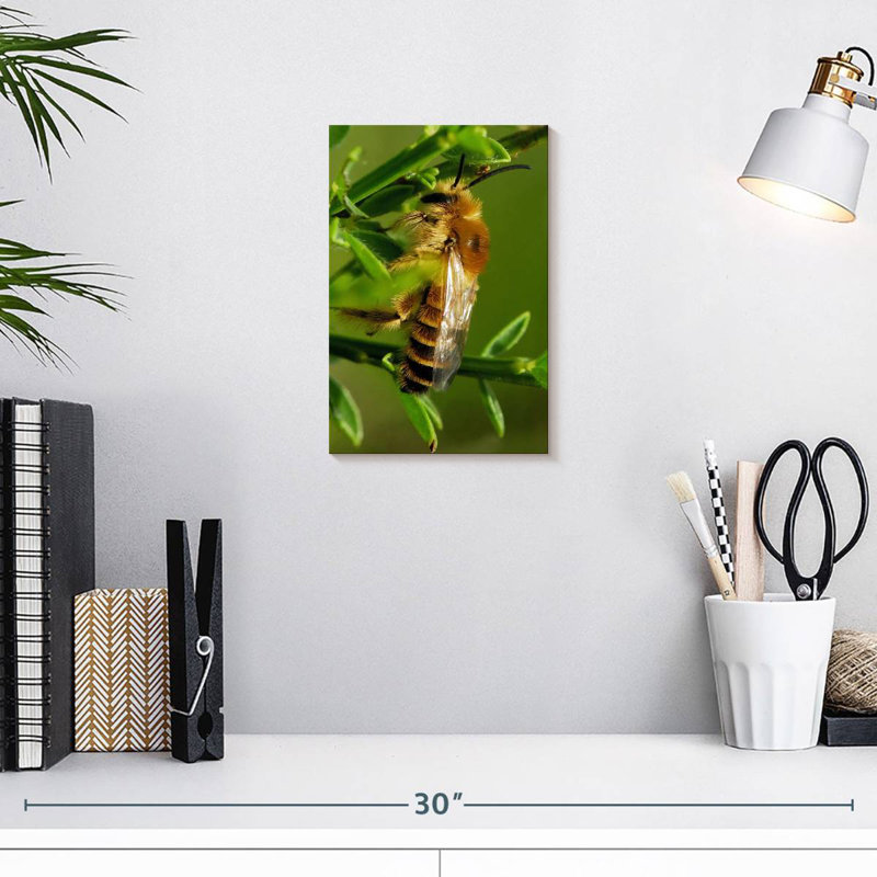 Brampt Bee Bee Bee, 12" H x 8" W