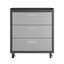 Armoire de garage Fortress 30 po gris foncé (3 tiroirs)