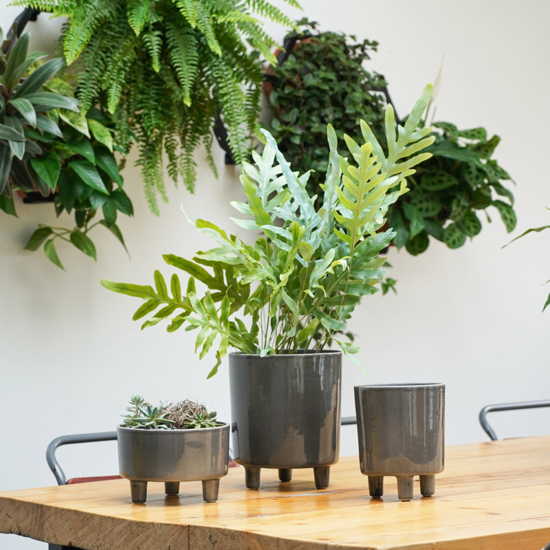 Pisa Slate Planter, 19cm H x 16cm W x 16cm D
