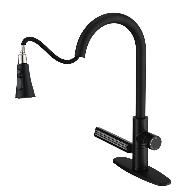 Robinet de cuisine à poignée simple RENIST, Noir mat