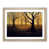 Oak Frame
