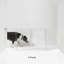 Clear Wall Mounted Low Zig Zag Pet Gate with Latch-411335331-411104789