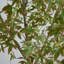 7 pi. Arbre d'automne artificiel Nandina