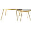 Table basse gigogne 2 pièces Lymon