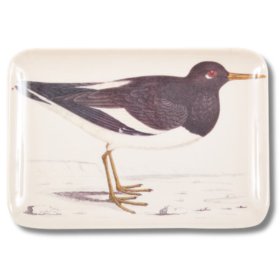 OYSTER CATCHER DRESSER TRAY