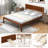 Argusta Standard Bed-1654832152-1654832155