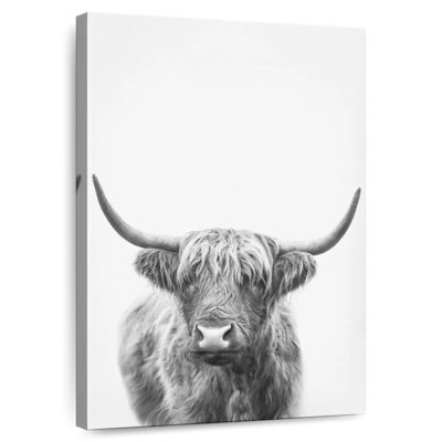 Highland Bull II